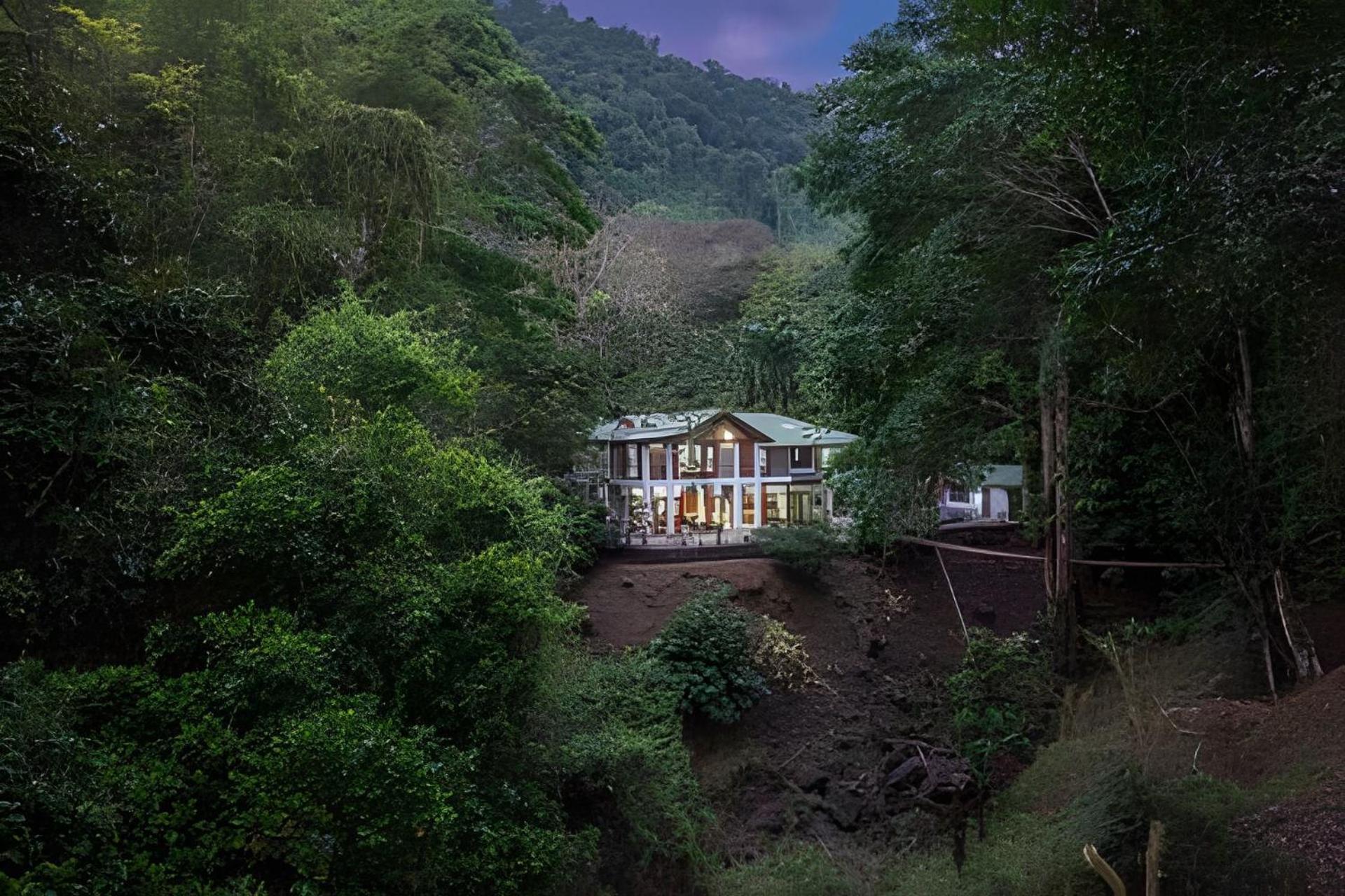 The Jungle Inn Dominicalito 외부 사진