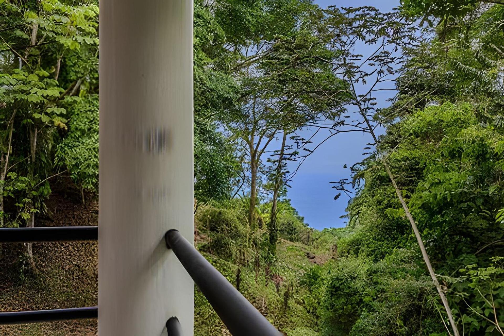 The Jungle Inn Dominicalito 외부 사진